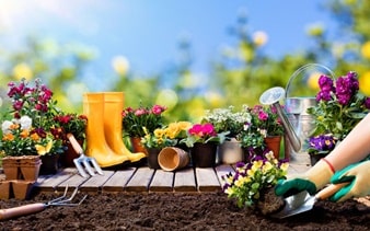 Home & Garden